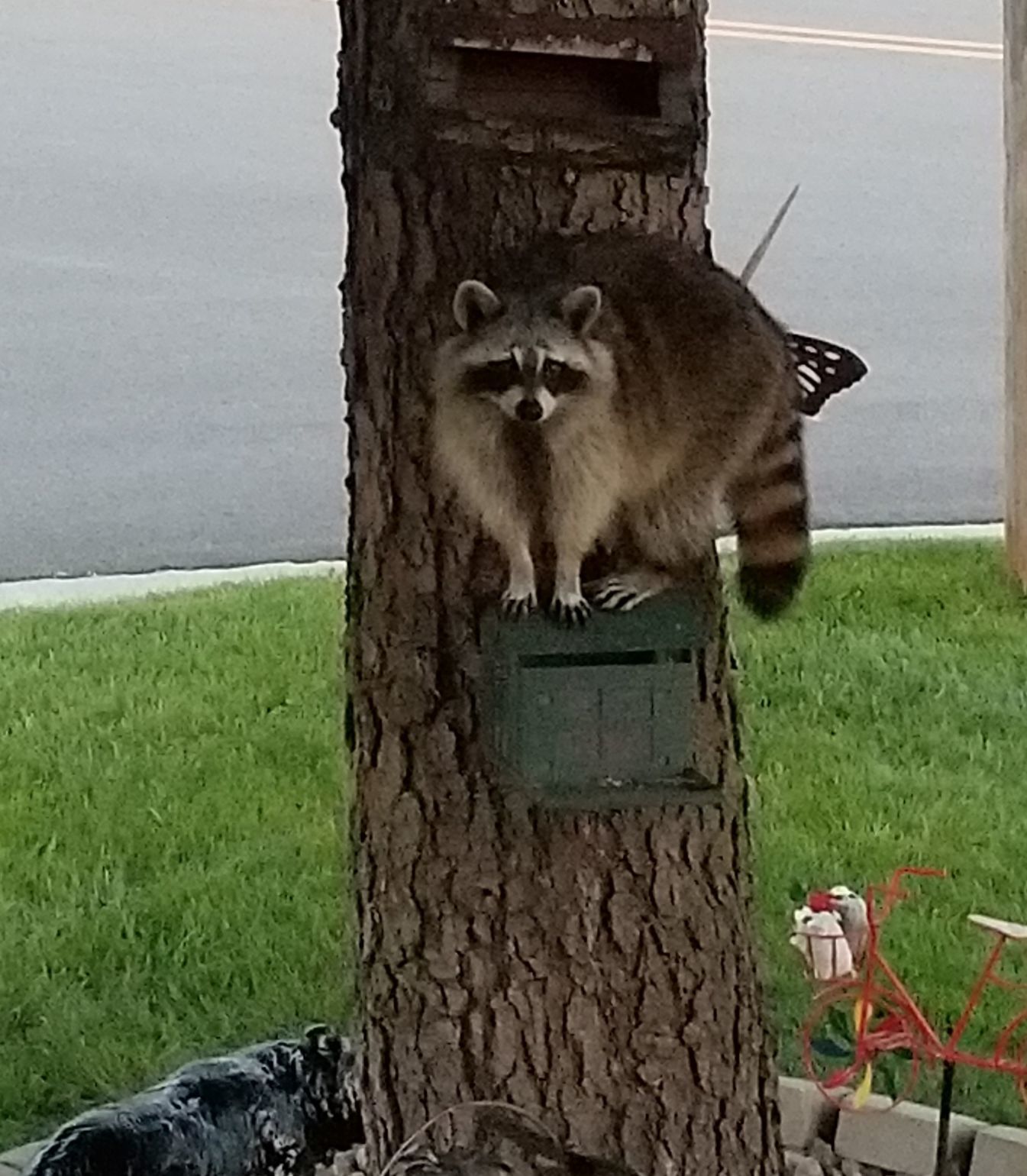 Caught in the act